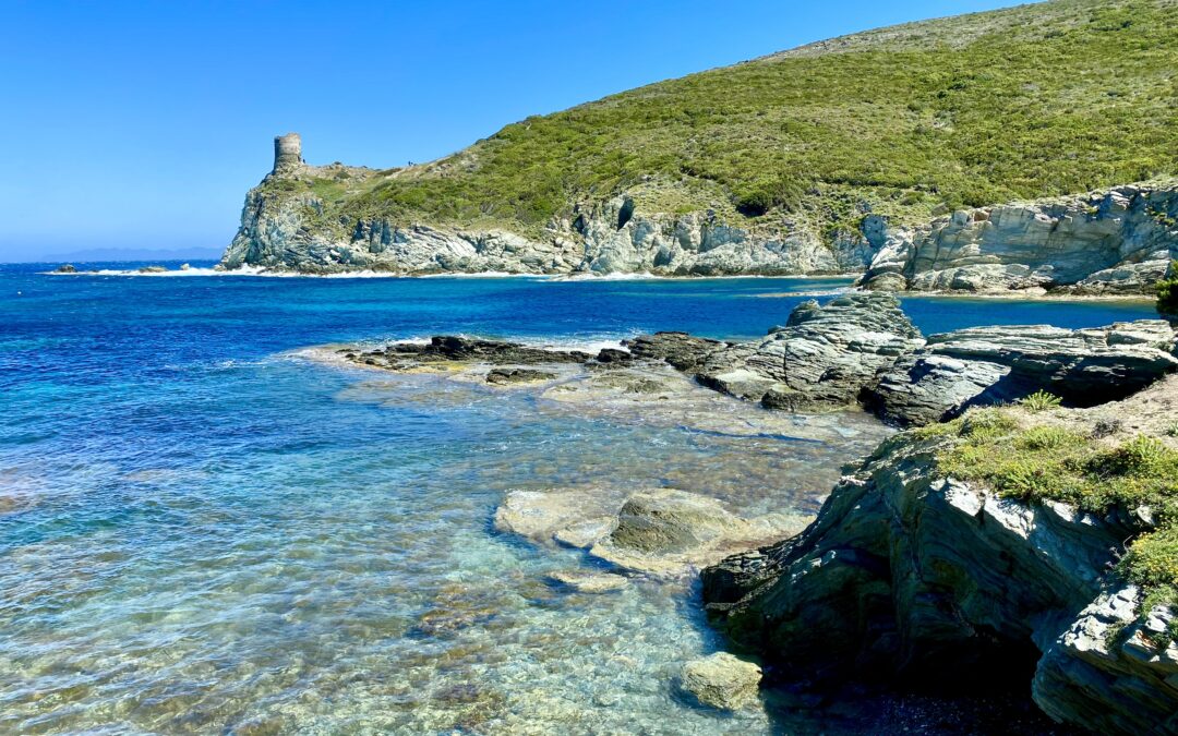 A la découverte des fabuleuses criques du Cap avec SARBANA, balades en mer.  Par Elise