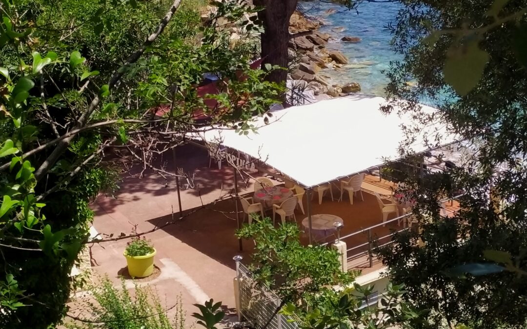 A Campinca, la pépite à l’entrée du Cap – Plage – Restaurant – Bar.