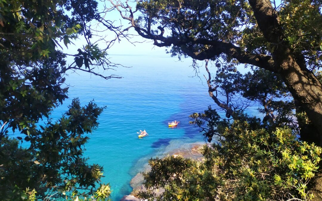 S’arrêter à Erbalonga, louer un Kayak et voguer vers des criques sauvages et secrètes du Cap Corse.