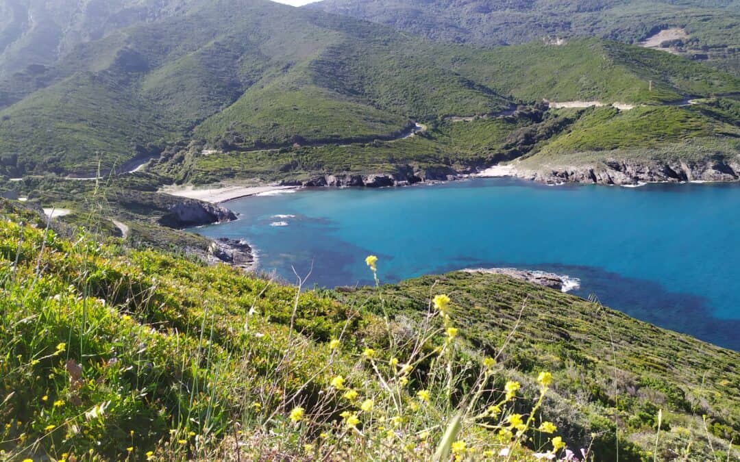 Cap Corse : le secret le mieux gardé de la Corse pour vos prochaines vacances