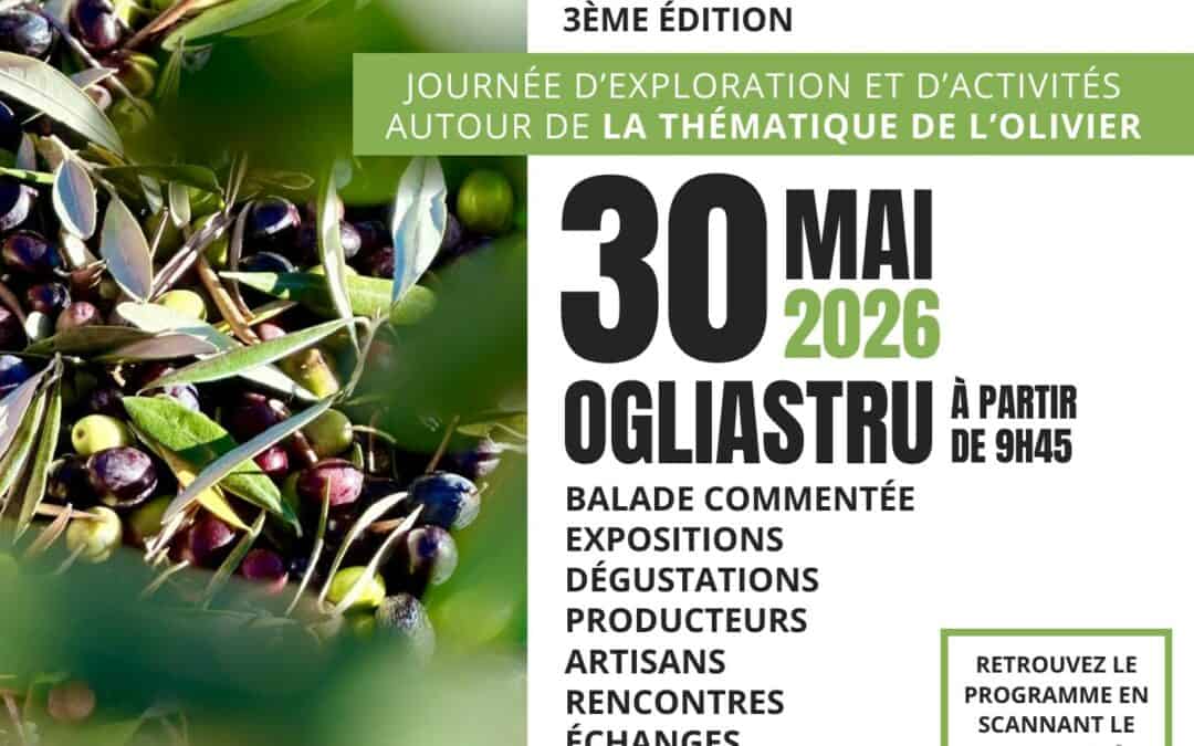 EVVIVA U CAPICORSU ! – 3ème édition à Ogliastru – Samedi 30 Mai 2026 – sur le thème de l&rsquo;olivier
