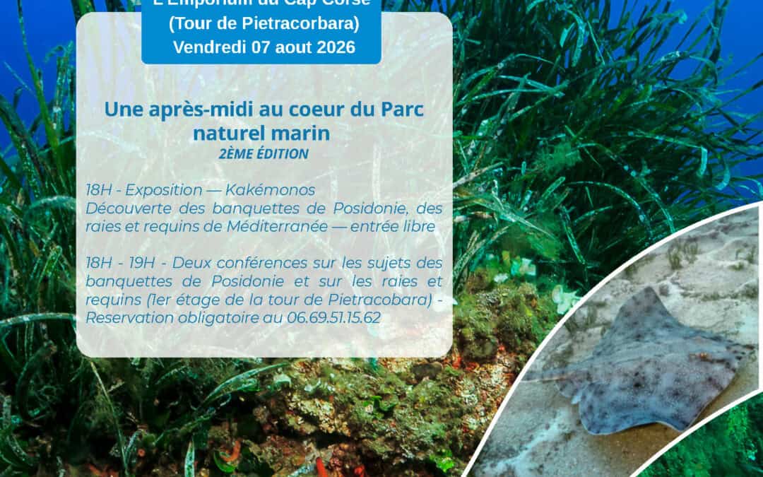 Une après-midi au cœur du Parc Naturel Marin du Cap Corse et de l’Agriate – Exposition & conférences – Vendredi 07 août 2026 – Tour d’Ampuglia, Marine de Petracurbara